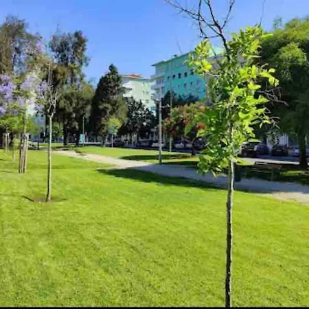 Ola ! Lightning Quiet View Garden 10mn Airport Apartment