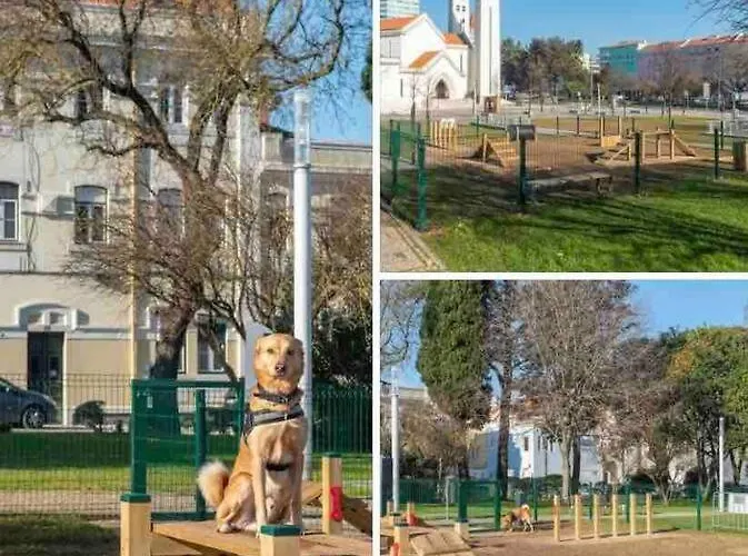 Ola ! Central Lightning Quiet View Garden 10mn Airport דירה