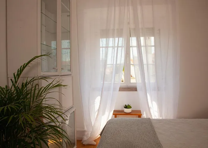 Ola ! Central Lightning Quiet View Garden 10mn Airport דירה